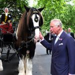 Prince Henry of Wales attended the film premiere of “Dunkirk” at the Odeon Cinema, Leicester Square