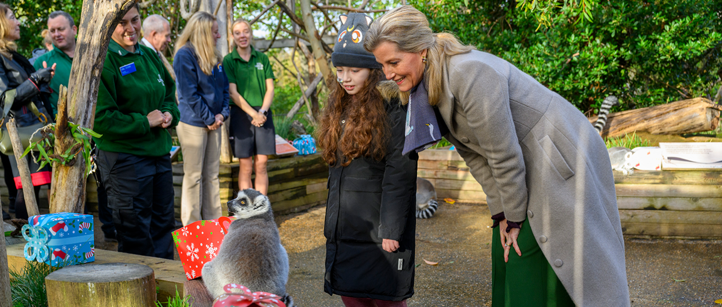 HRH The Countess of Wessex visits ZSL London Zoo